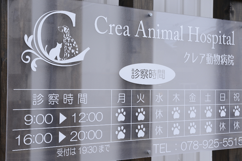 クレア動物病院_26