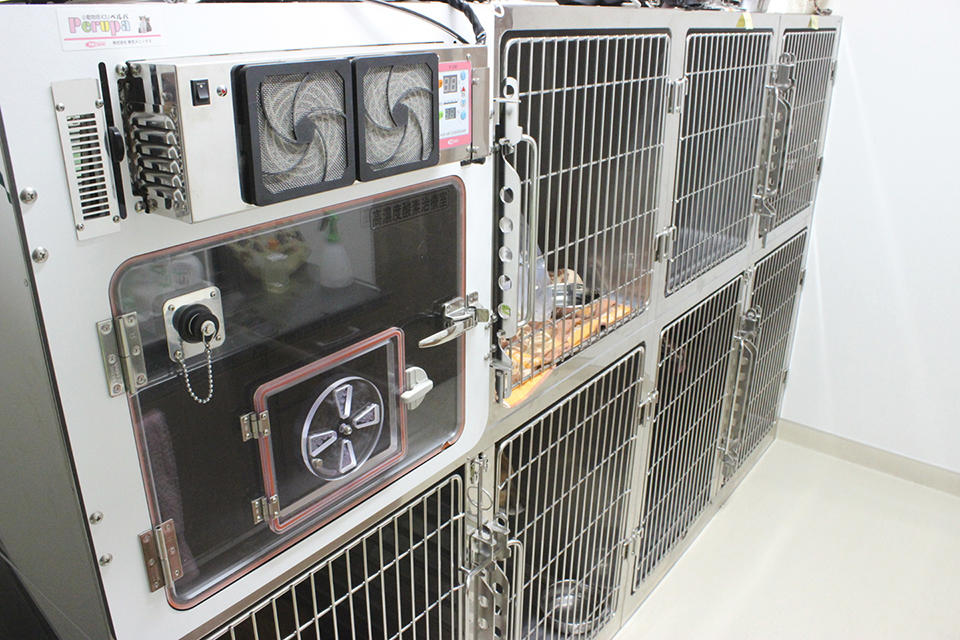 上福岡OZ動物病院_こだわり_3