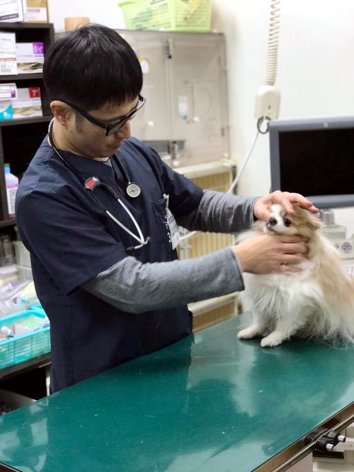 多摩の森動物病院_こだわり_1