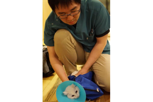 往診専門 はる動物診療所_3