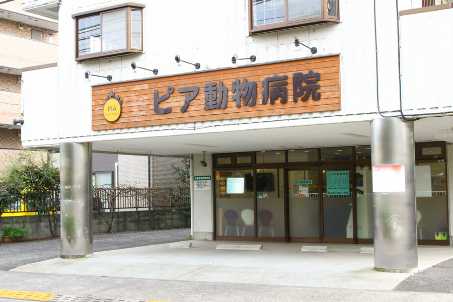 ぴあ動物病院_5
