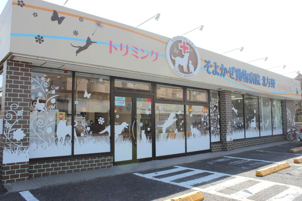 そよかぜ動物病院 北与野(与野動物医療センター)_13