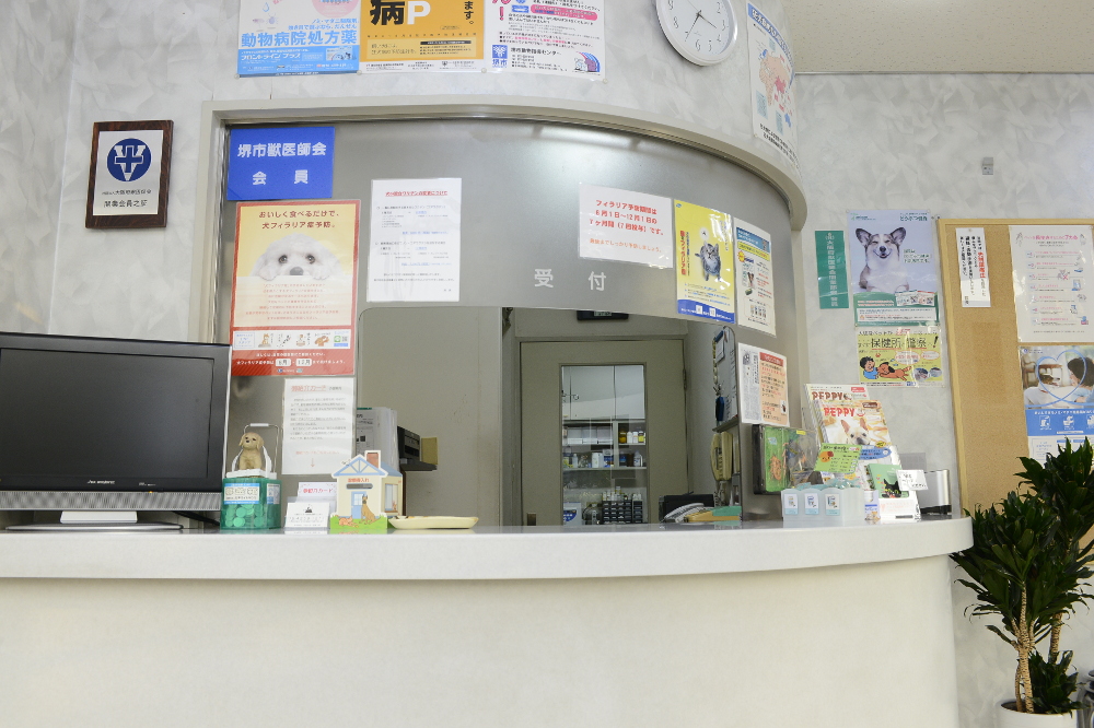 深井動物病院_5