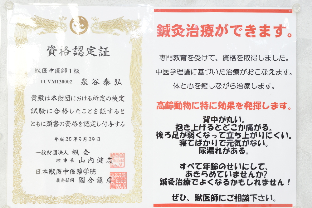 深井動物病院_7