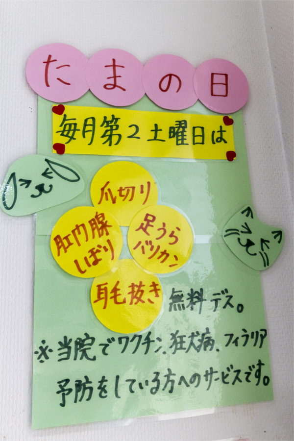 せいた動物病院_5