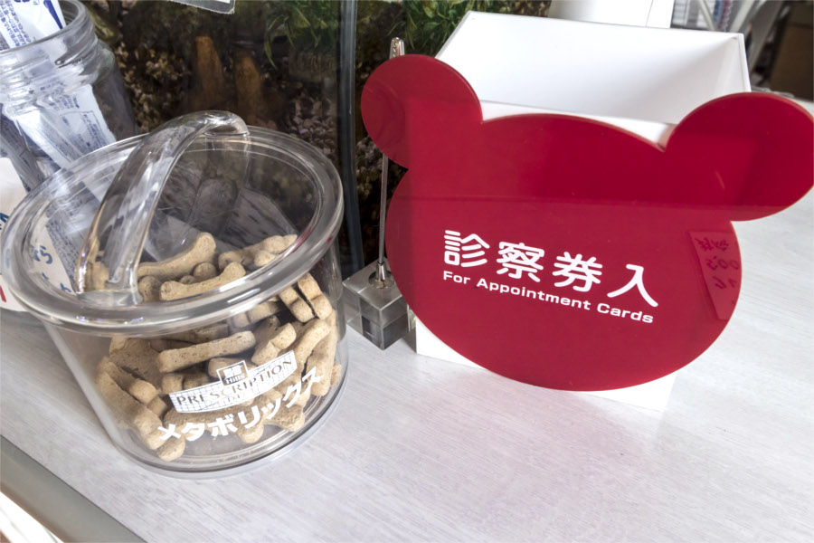 せいた動物病院_7