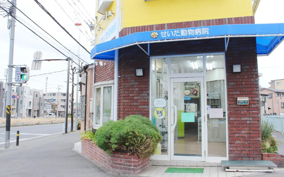 せいた動物病院_8