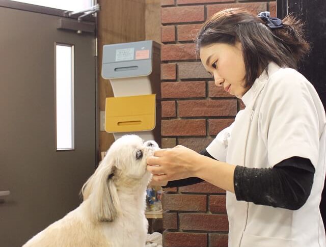 せいた動物病院_9