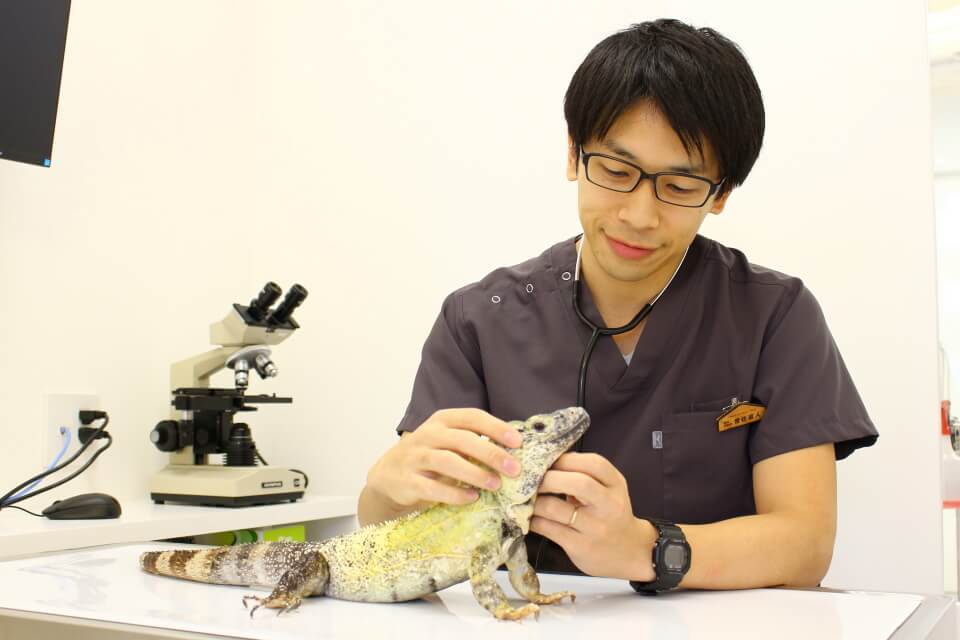 small animal clinic_こだわり_1