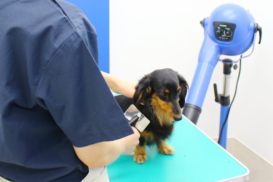 ふれあいの丘動物病院_こだわり_2