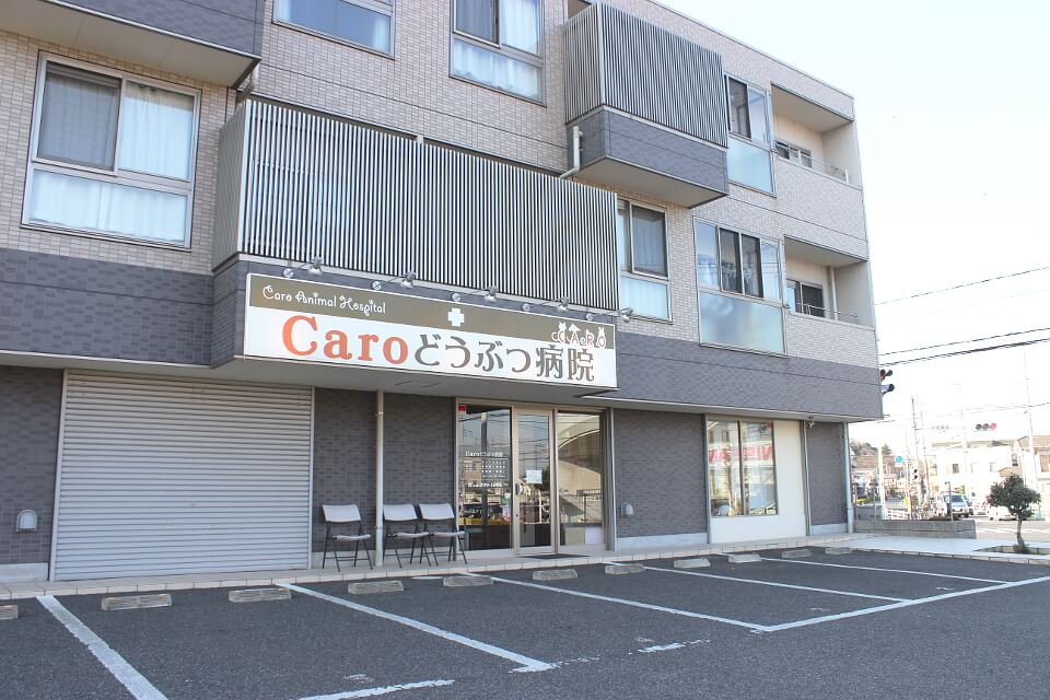 Caroどうぶつ病院_12