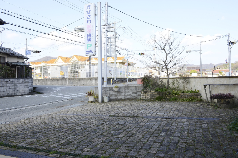 かなざわ動物病院_6