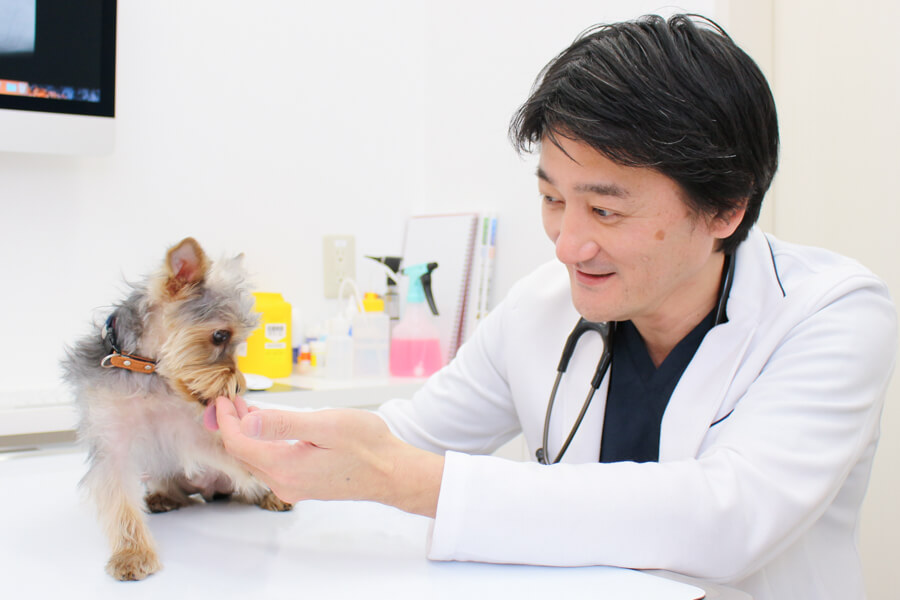 桜新町動物病院_14
