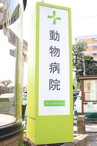 桜新町動物病院_6