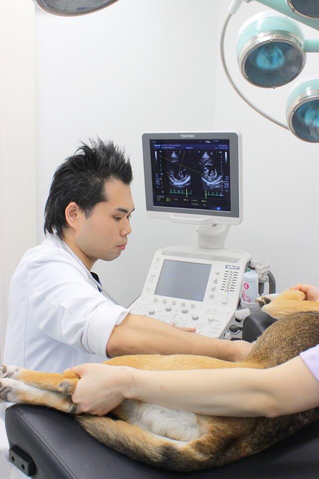 白井 顕治 院長