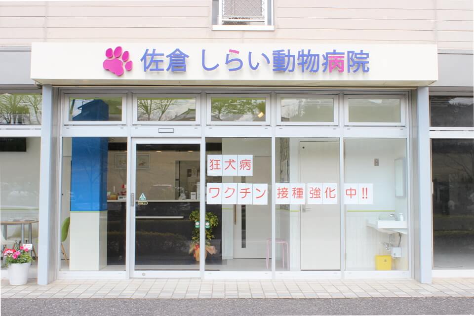 しらい動物病院（大崎台分院）_4