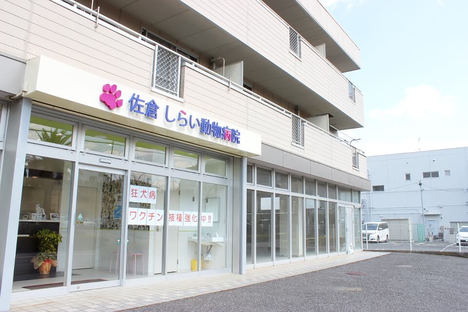 しらい動物病院（大崎台分院）_こだわり_1