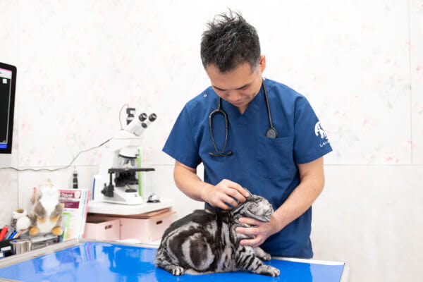 しらい動物病院（大崎台分院）_23