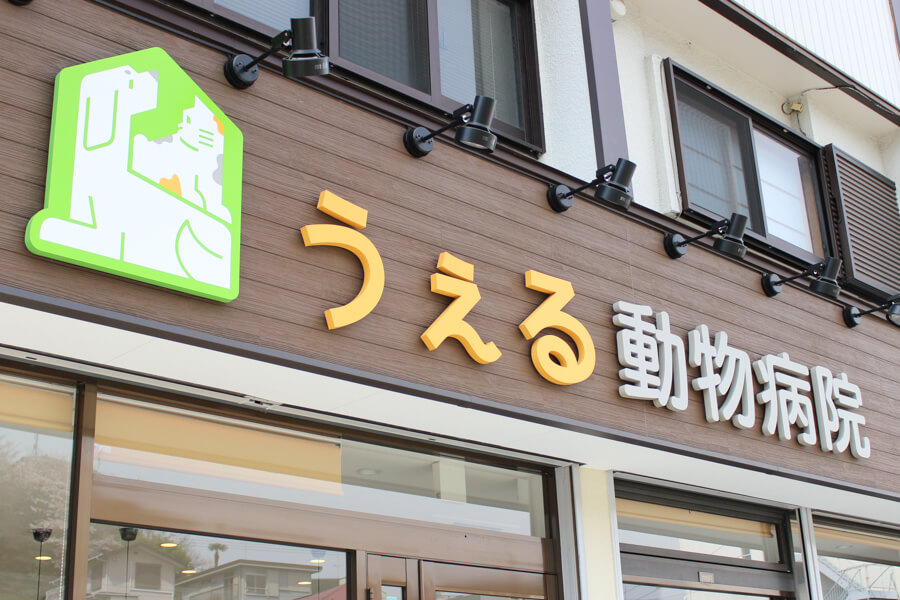 うぇる動物病院_18