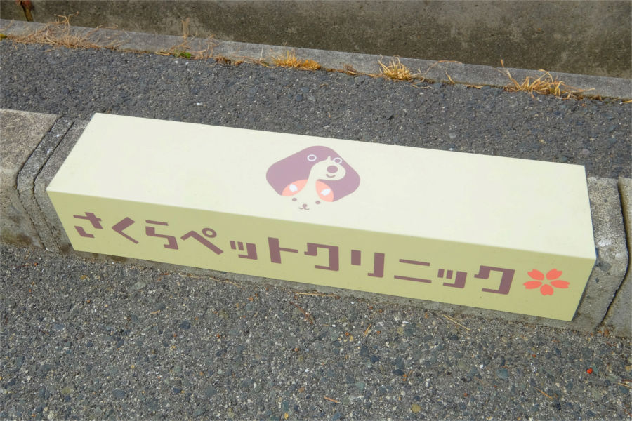 さくらペットクリニック_16