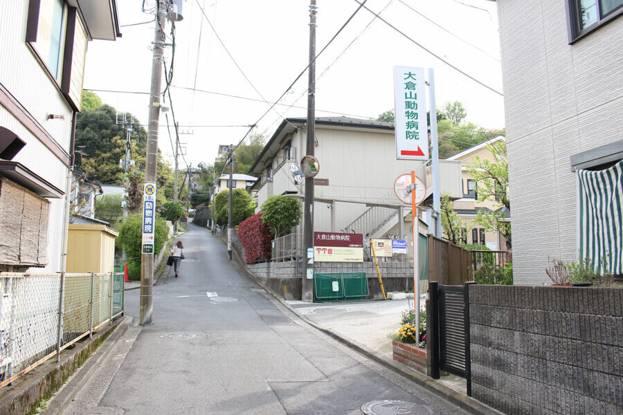 大倉山動物病院_12