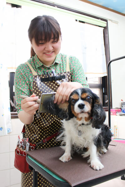 大倉山動物病院_こだわり_2