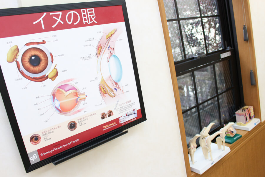 大倉山動物病院_27