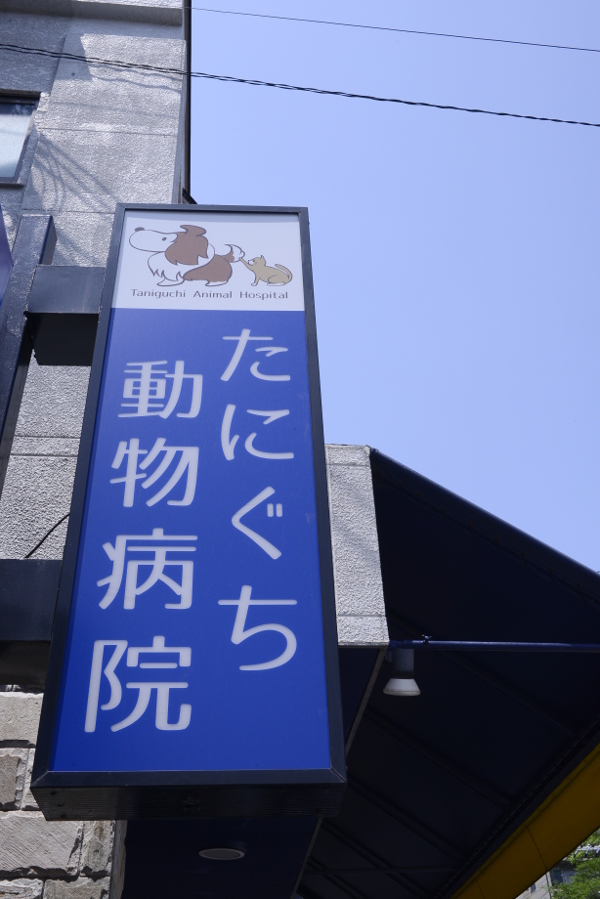 たにぐち動物病院_10