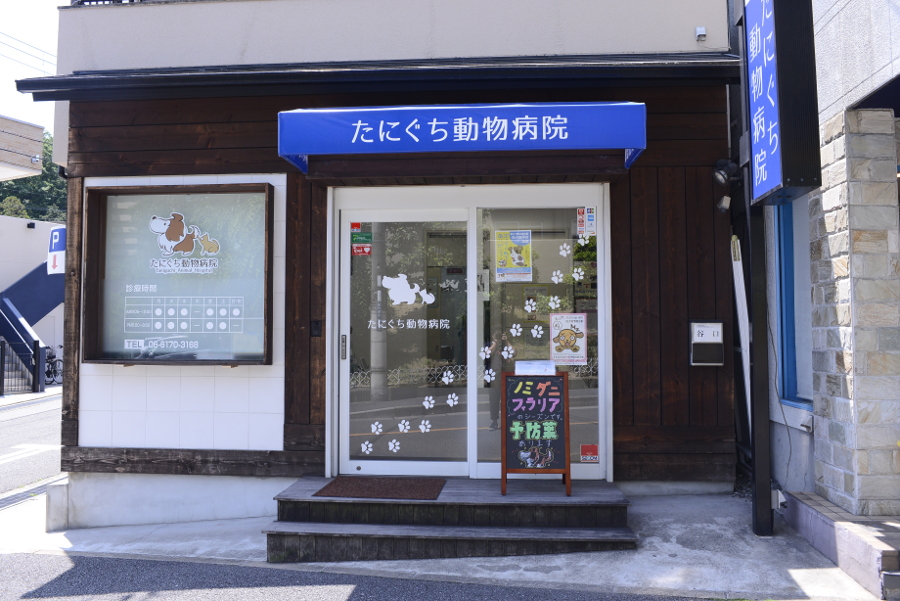 たにぐち動物病院_16