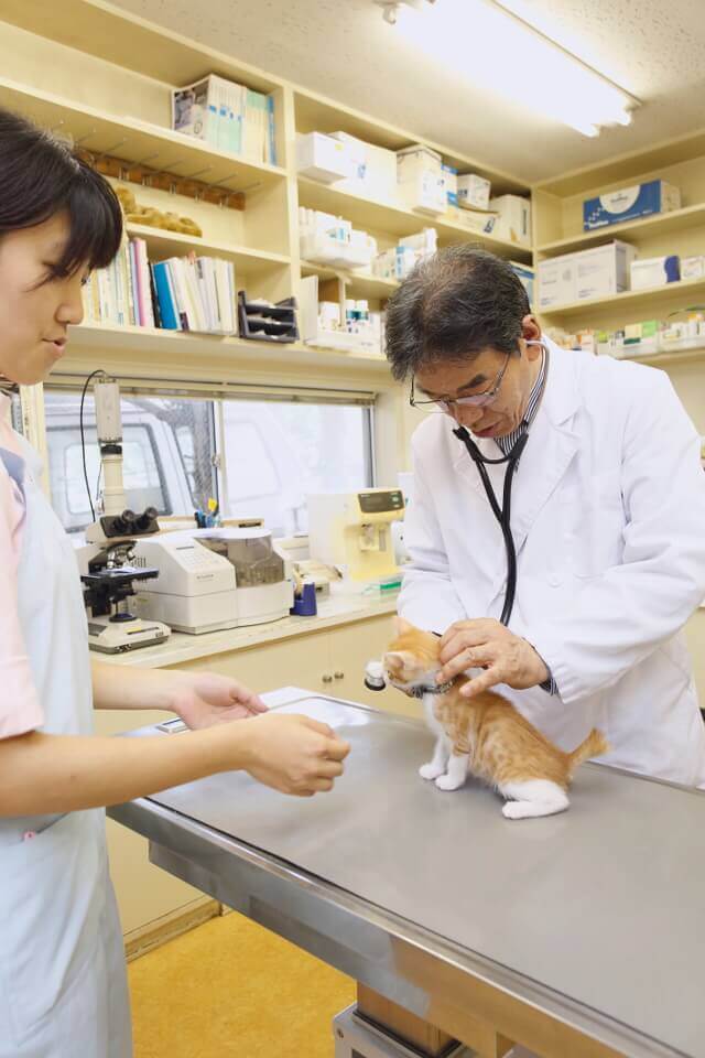 ユナイテッド上尾動物病院_こだわり_2