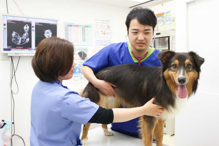 エルムス動物医療センターららぽーと柏の葉院_19