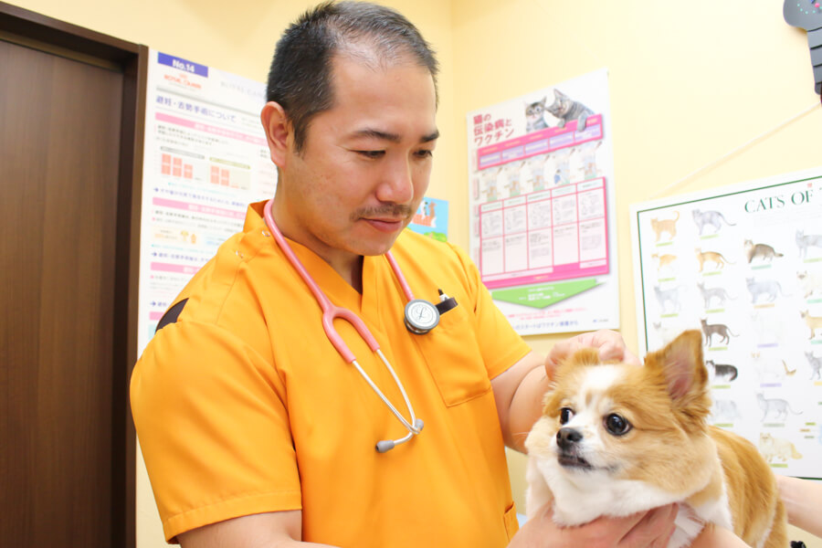 西調布犬猫クリニック_19