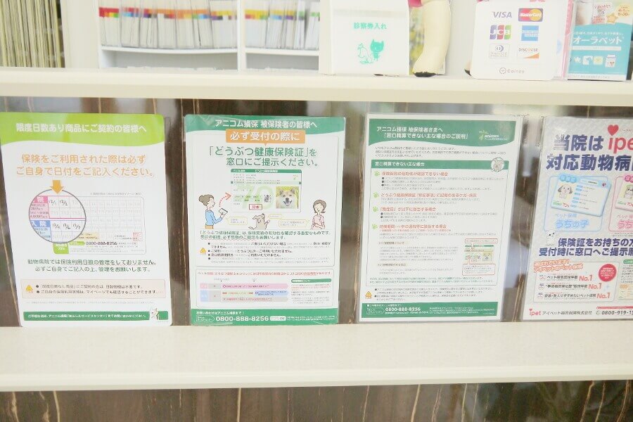 三好インター動物病院_10