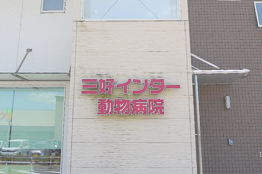 三好インター動物病院_16