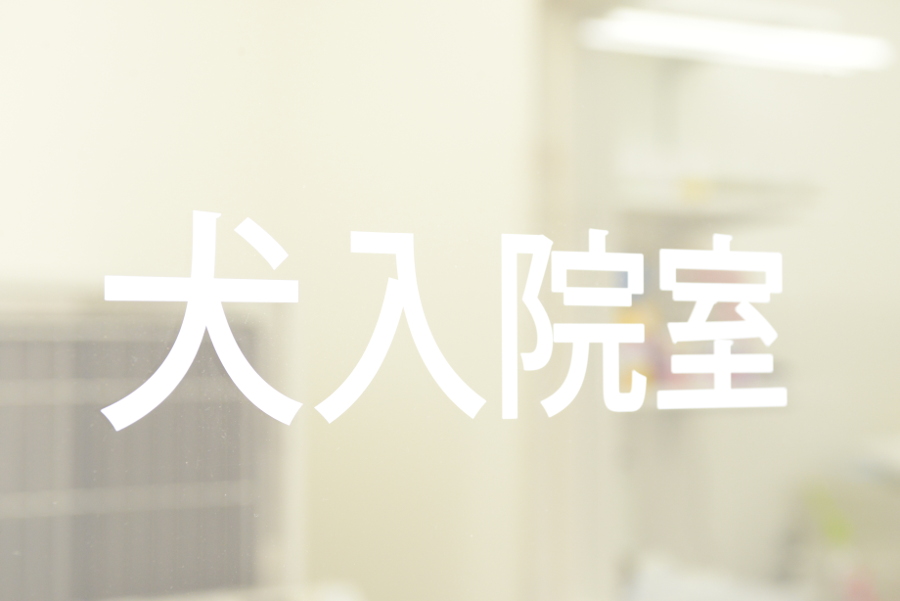 リアン動物病院_5