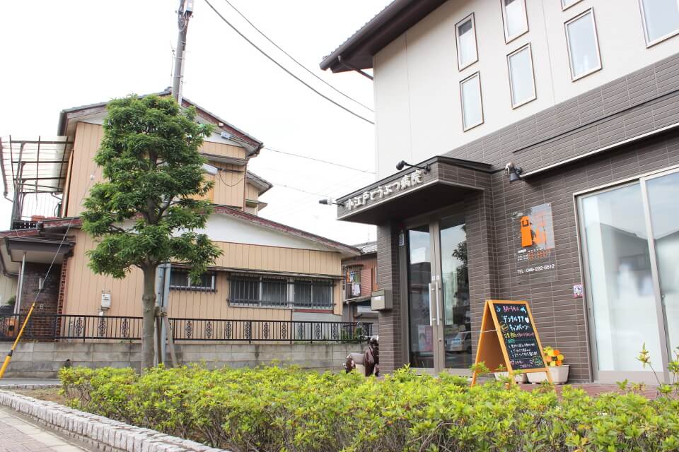 小江戸どうぶつ病院_3
