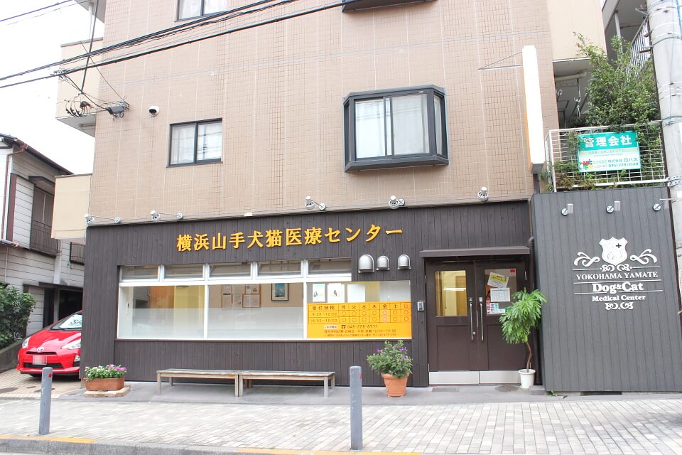 横浜山手犬猫医療センター_3