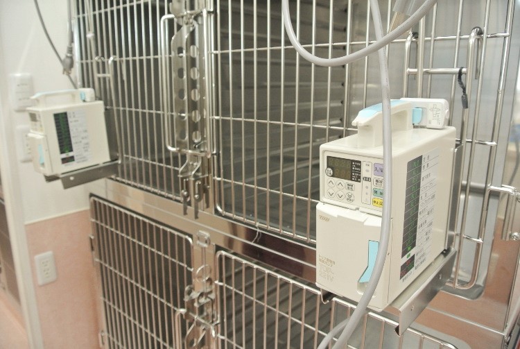 ポッケ動物病院_4