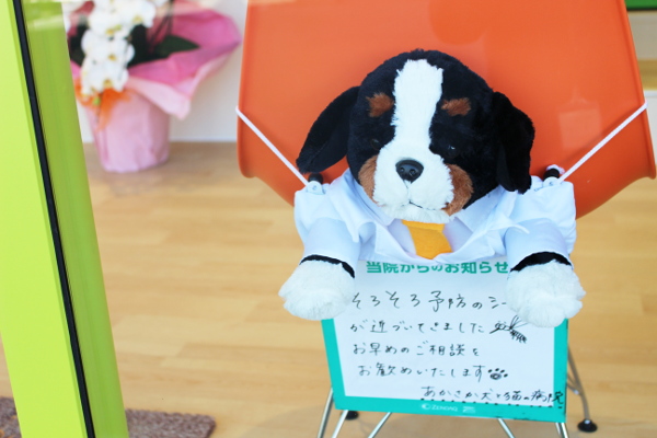 あかさか犬と猫の病院_1