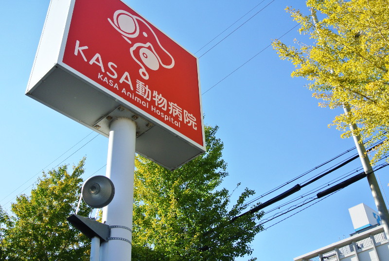 KASA動物病院_7