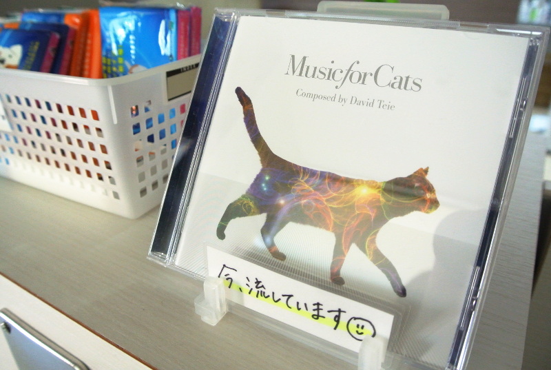 KASA動物病院_15