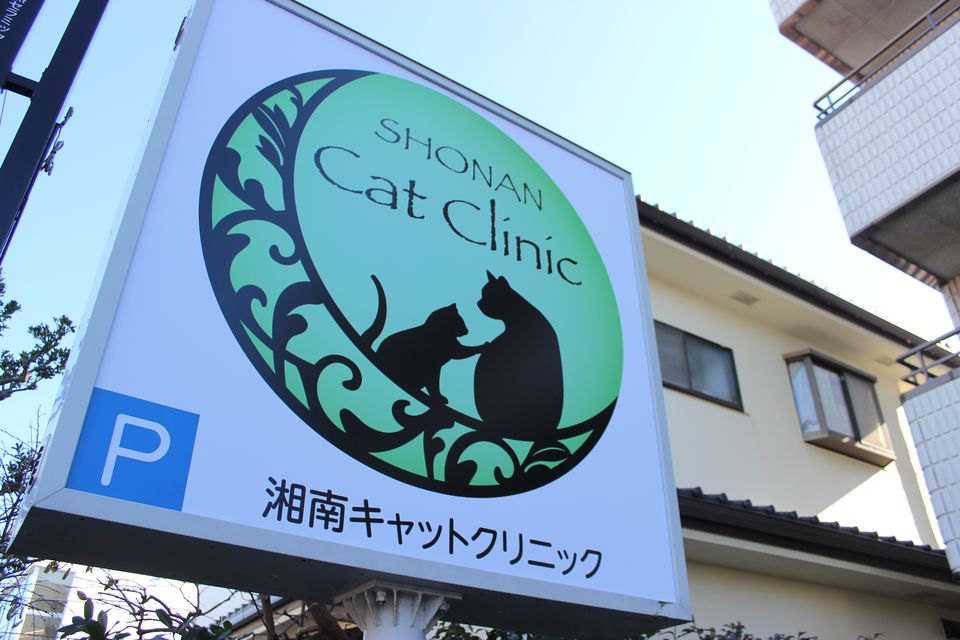 湘南キャットクリニック_7