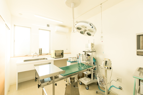 ふじの動物病院_こだわり_3