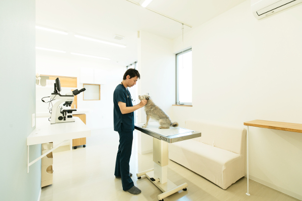 ふじの動物病院_こだわり_2