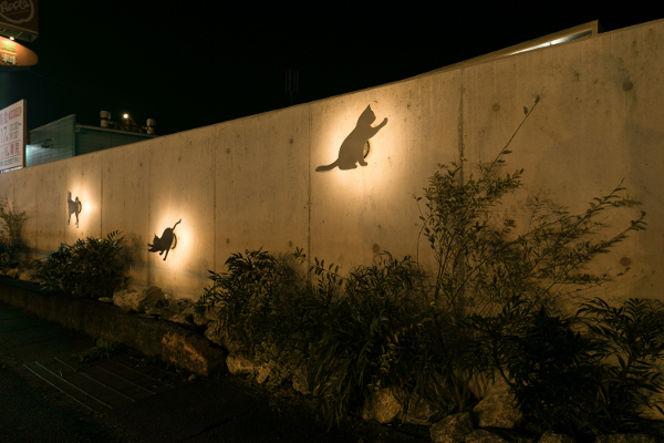 ふじの動物病院_3