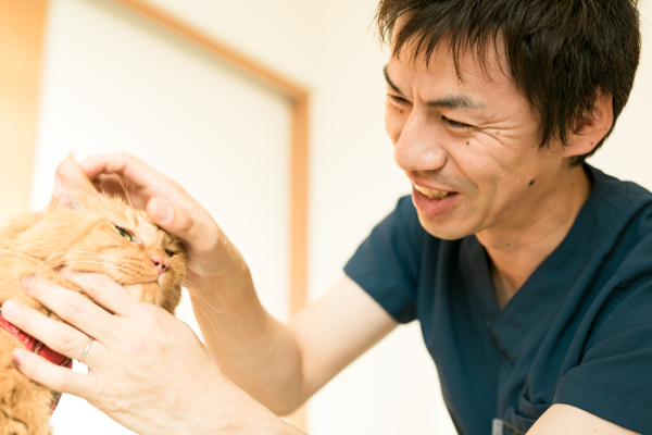 ふじの動物病院