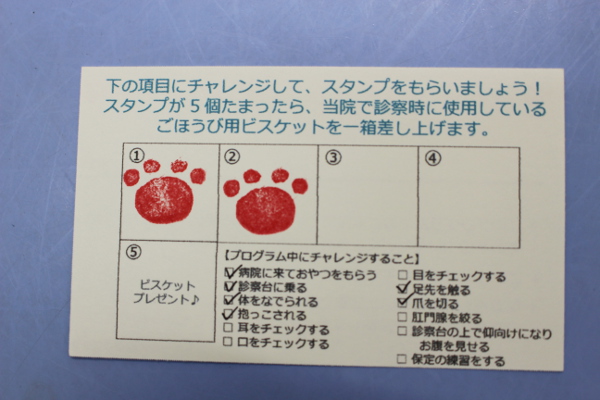 トパーズ犬猫クリニック_13