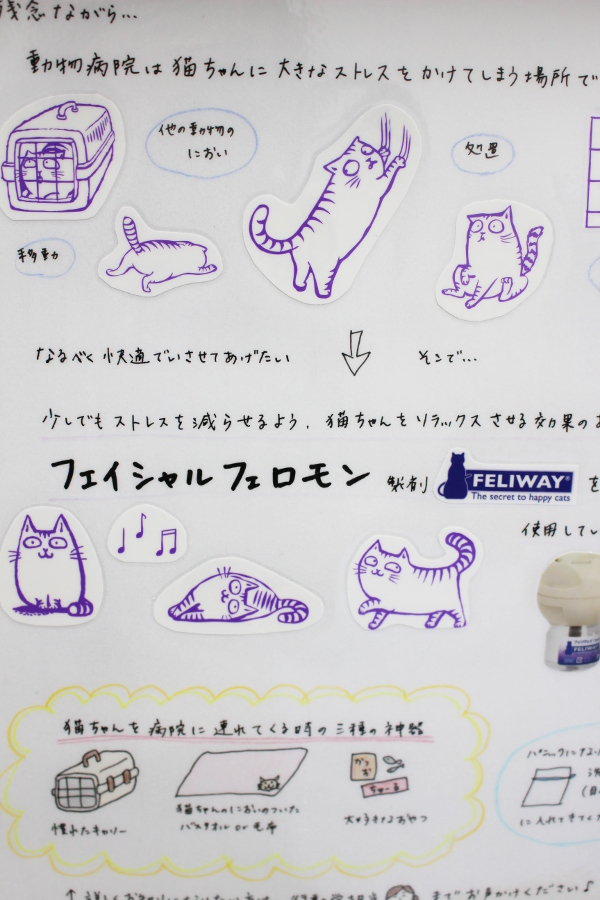 トパーズ犬猫クリニック_18