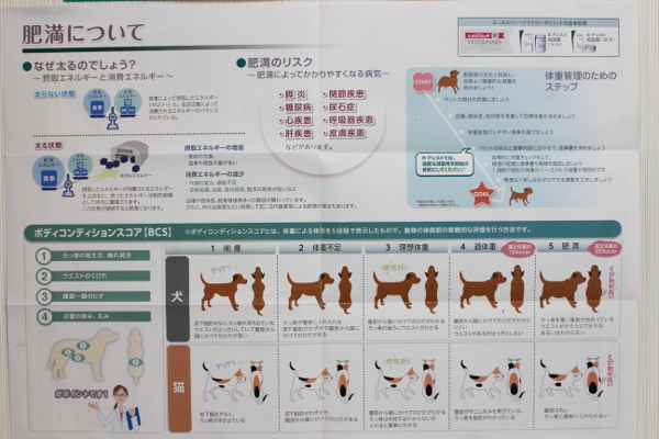 トパーズ犬猫クリニック_21