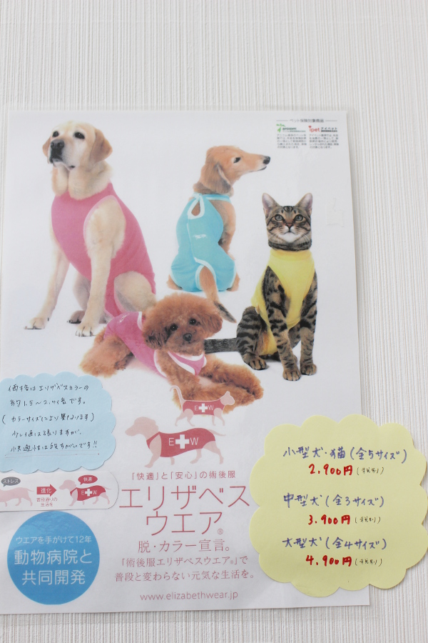 トパーズ犬猫クリニック_22